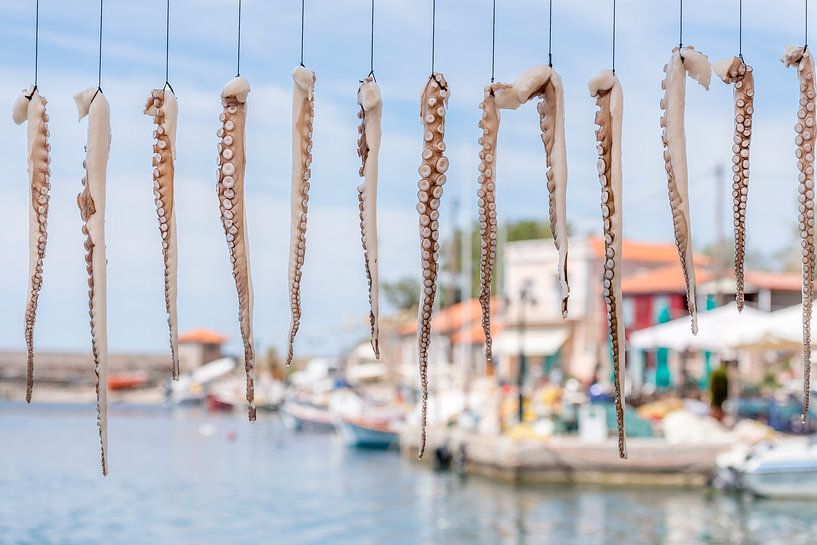 Inktvissen hangen te drogen in Griekse haven par Rob IJsselstein