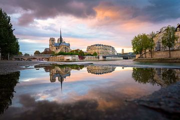 Reflections of the Notre Dame de Paris