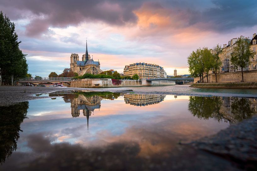 Reflections of the Notre Dame de Paris van Maarten Mensink