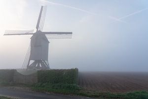 Brume matinale au moulin dans le champ