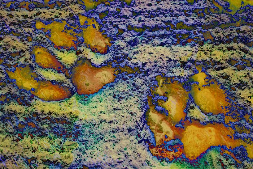 Paw Prints Brown New Dimensions par Dorothy Berry-Lound