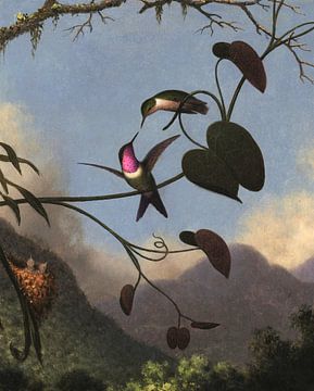 Amethyst Woodstar, Martin Johnson Heade...