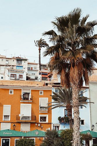 Colorful Spanish house with palm tree
