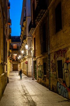 Night shot of the old town in Valencia Spain by Dieter Walther