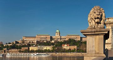 Buda Castle, Budapest, Hungary by Gunter Kirsch