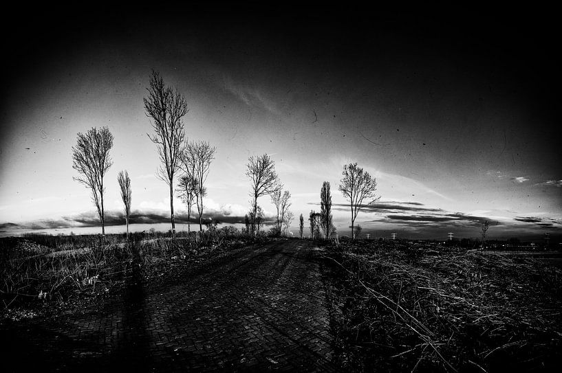 Landscape IV van Rene Kuipers