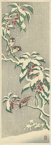 Ohara Koson - Sparrows on a snowy currant bush (edited)