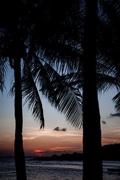 Zonsondergang op Curaçao van Dani Teston