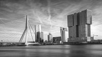 Erasmusbrug Rotterdam von Gerard Burgstede Miniaturansicht