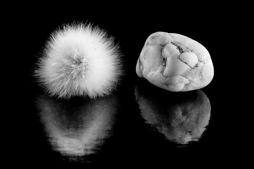 yin and yang by Klaartje Majoor