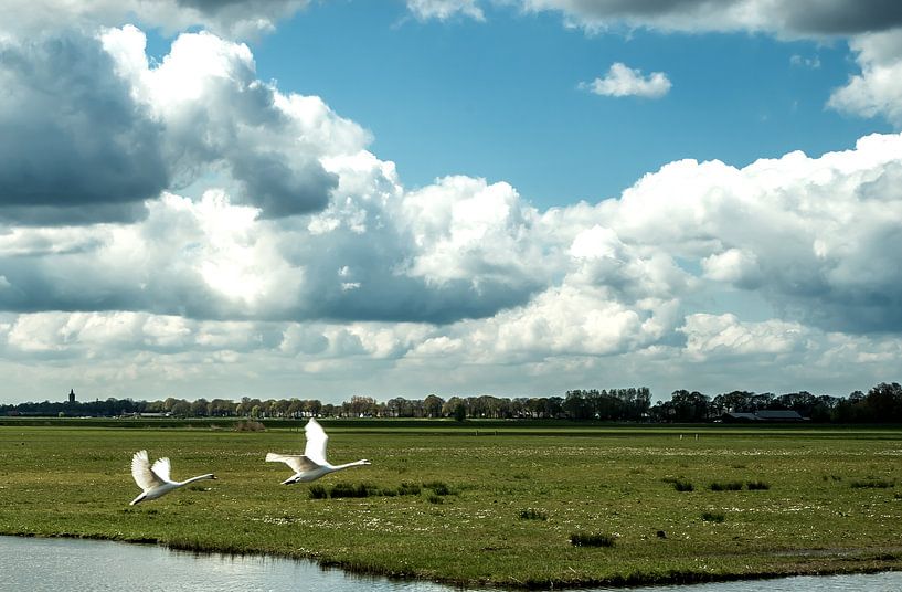 Majestueus van Annelies Martinot