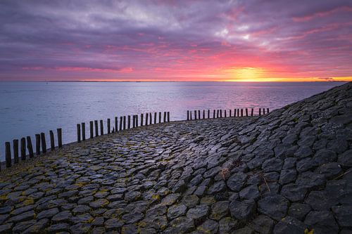 Le matin s'est levé... sur Sander Poppe