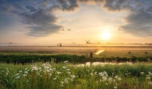 Die Niederlande