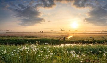 Nederland van Photo Wall Decoration