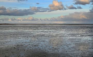 Slufter Texel by Jose Lok