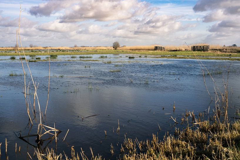 Eaux venteuses par Zeb van Drie