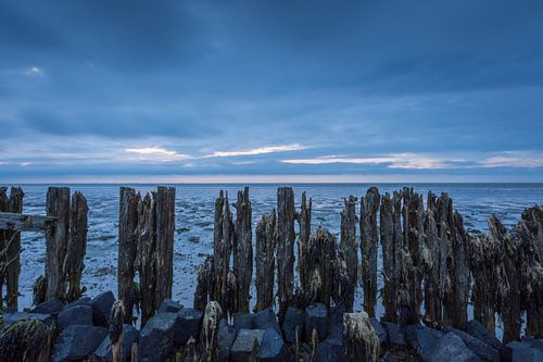 Moddergat aan het wad