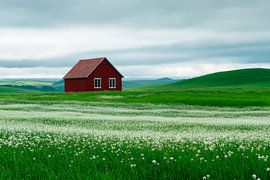 Pré de la maison rouge sur Poster Art Shop