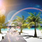 Kay Sessink photo de profil