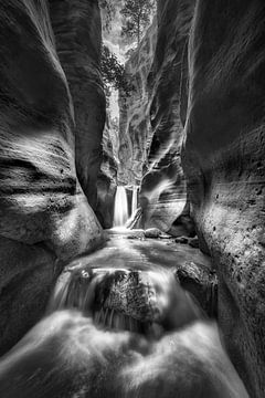 Canada Creek Canyon at Zion National Park in the USA. Black and white image by Manfred Voss, Schwarz-weiss Fotografie
