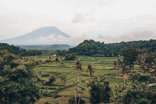 Paradijselijk Uitzicht: Rijstvelden en Mount Agung in Betoverend Bali