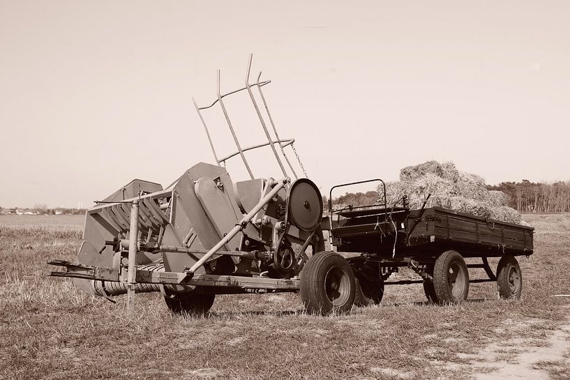 Ballenpresse Claas Maximum von Ingo Rasch