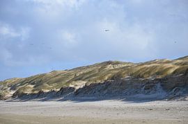 Dune by Corinna Vollertsen