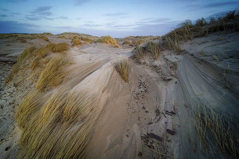 Light and shadow by Dirk van Egmond