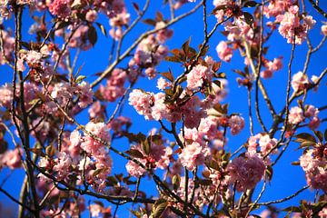 Printemps sur Thomas Jäger