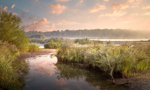 Ochten aan De Luysen Kempen-Broek Naturpark