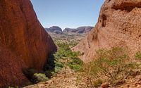 Kata Tjuta
