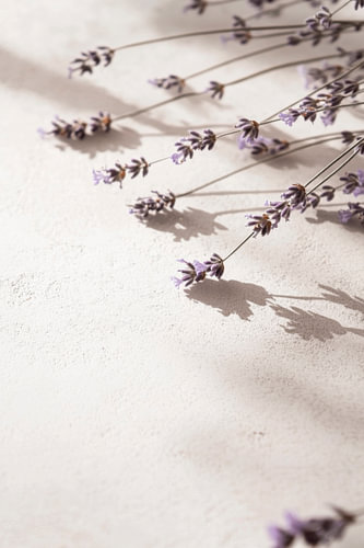Lavendel patroon