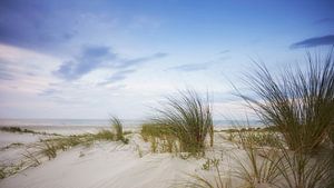 Vue sur la plage d'Ameland sur Martin Weijmer