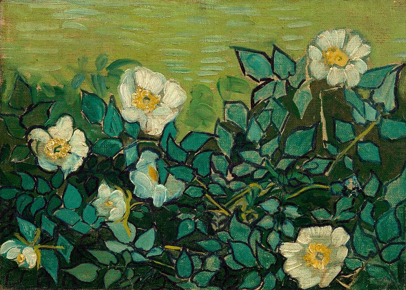 Vincent van Gogh, Roses sauvages par 1000 Schilderijen