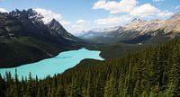 Peyto Lake, Canada van Tashina van Zwam thumbnail