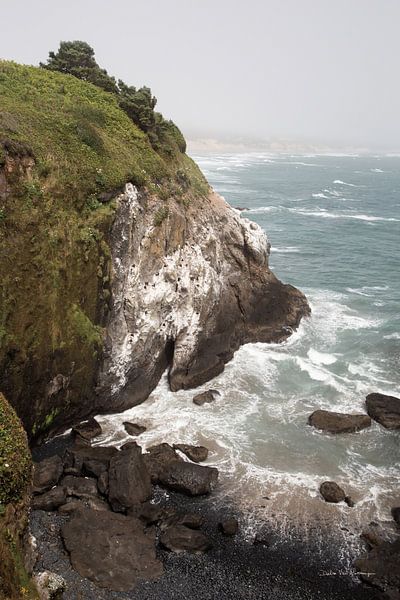 Coastal Fog III, Debra Van Swearingen by Wild Apple