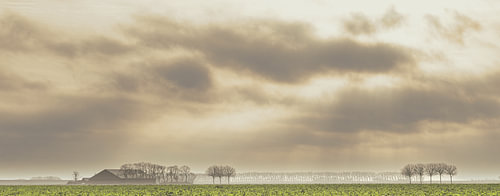 Landschap onder een Dramatische Hemel