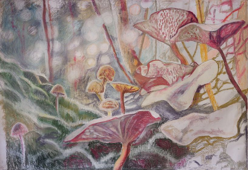 Mushrooms by Birgit Gerritsen