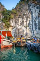 Bateaux de pêche dans la baie d'Halong (Vietnam)