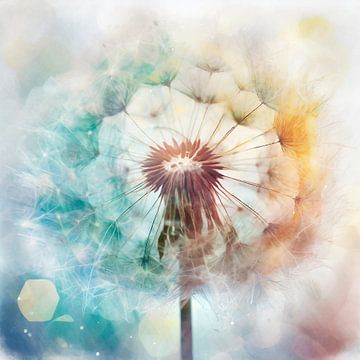 Dromerige aquarel van een Dandelion / uitgebloeide paardenbloem van Studio Pieternel