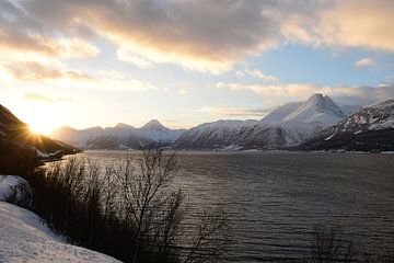 Zon in een winters fjord van Renzo de Jonge