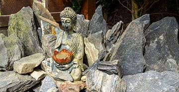 Panorama Buddha Figur im Steingarten Hintergrund von Animaflora PicsStock