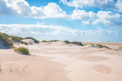 Dunes sur la côte de la mer du Nord près de Skagen