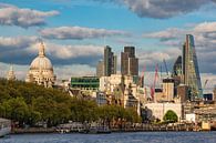 London Skyline mit St. Pauls Cathedral van AD DESIGN Photo & PhotoArt thumbnail