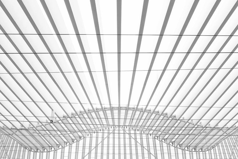 Station van Reggio Emilia in Italië door architect Santiago Calatrava van Truus Nijland