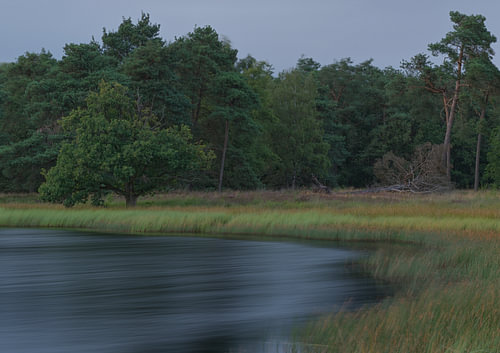 Dwingelderveld – Drenthe (Netherlands) by Marcel Kerdijk