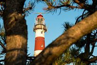 Lighthouse of the island Ameland