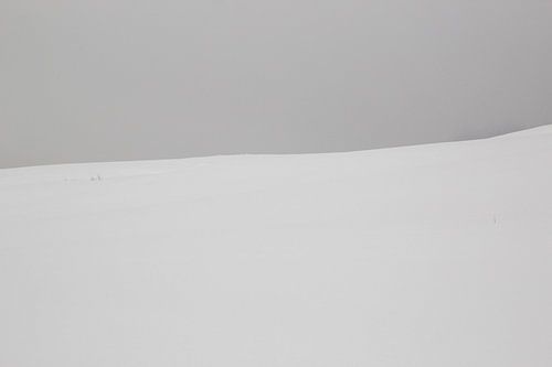 Snow on the mountain
