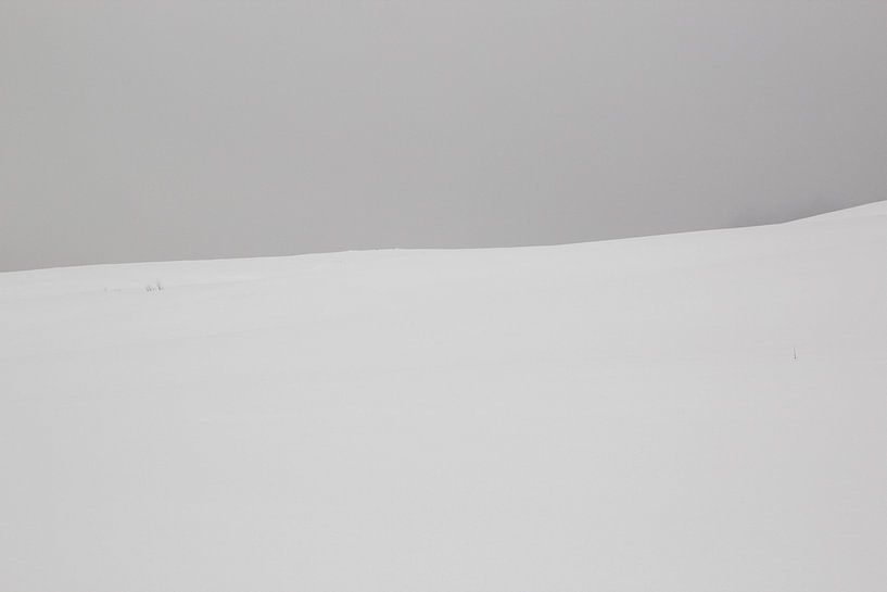 Snow on the mountain by Ymala Antonsen
