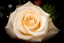 Gentle Infinity by David Krause